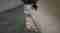 drewinski-timeline.00_22_44_10.still008
